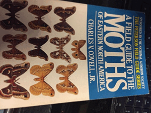 A FIELD GUIDE TO THE MOTHS OF EASTERN NORTH AMERICA (LOMO ESTRIADO)