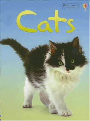 CATS (TEXTO EN INGLÉS)