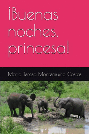 ¡BUENAS NOCHES PRINCESA!
