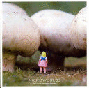 MICROWORLDS (TEXTO EN INGLES)