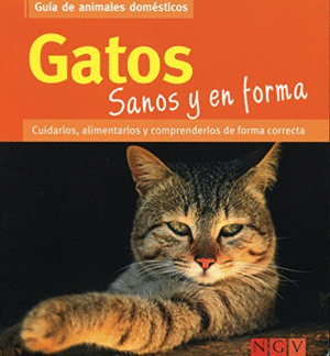 GATOS SANOS Y EN FORMA