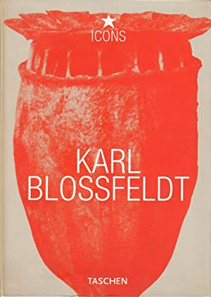 KARL BLOSSFELDT (TEXTO EN ESPAÑOL)