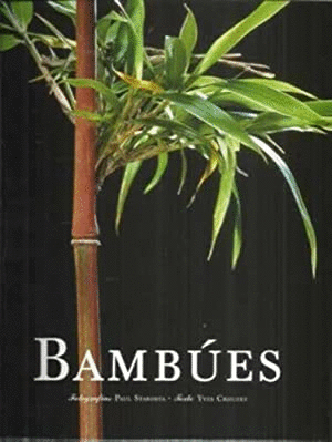 BAMBUES (TAPA DURA)