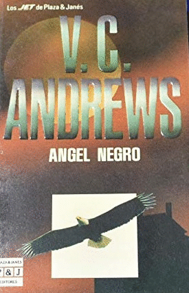 ANGEL NEGRO