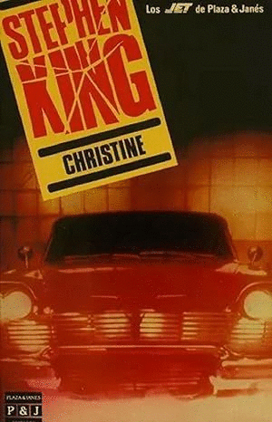 CHRISTINE (LOMO ESTRIADO Y BORDES ROZADOS)