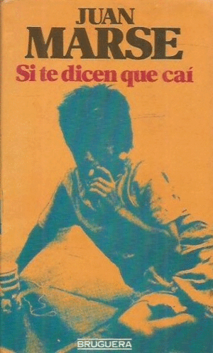 SI TE DICEN QUE CAÍ