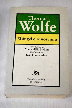 EL ÁNGEL QUE NOS MIRA (LOMO ESTRIADO)