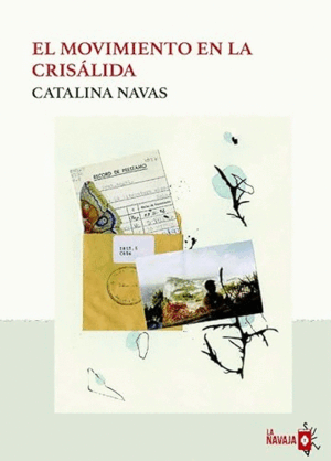 EL MOVIMIENTO EN LA CRISÁLIDA