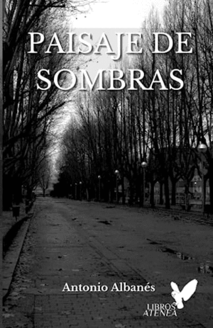 PAISAJE DE SOMBRAS (FIRMADO)