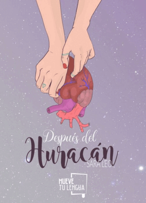 DESPUÉS DEL HURACÁN
