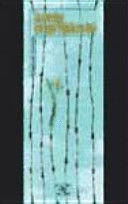 LA NOCHE EN QUE VLADO SE FUE