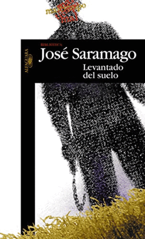 LEVANTADO DEL SUELO