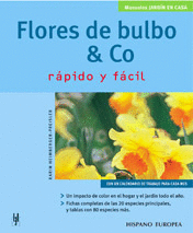 FLORES DE BULBO & CO