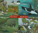 ENCIMA Y DEBAJO
