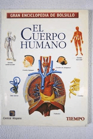 EL CUERPO HUMANO