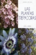 LAS PLANTAS TREPADORAS