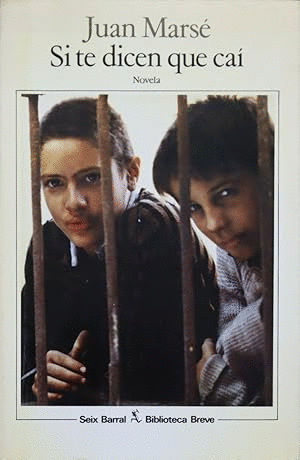 SI TE DICEN QUE CAÍ