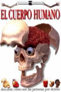 EL CUERPO HUMANO