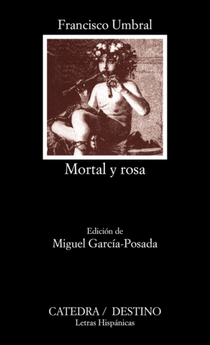 MORTAL Y ROSA (ESQUINA ALGO ROZADA)