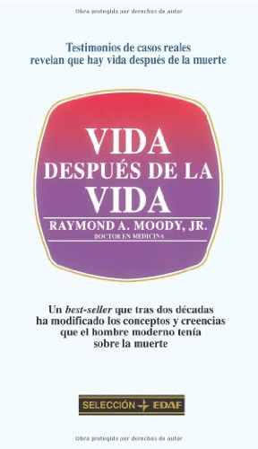 VIDA DESPUÉS DE LA VIDA