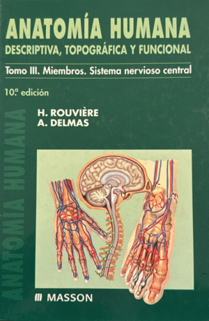 ANATOMIA HUMANA