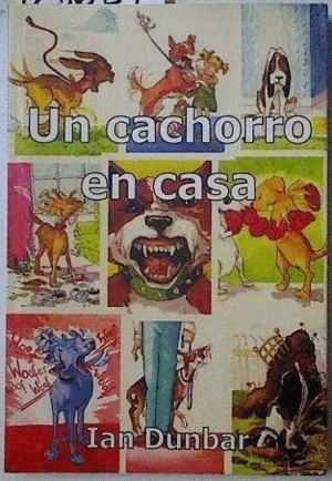 UN CACHORRO EN CASA