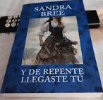 Y DE REPENTE LLEGASTE TÚ