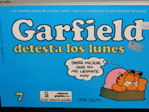 GARFIELD DETESTA LOS LUNES, Nº7