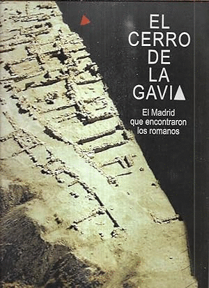 EL CERRO DE LA GAVIA