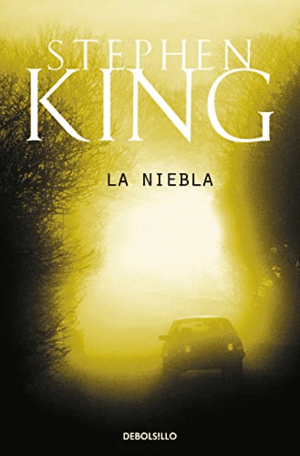 LA NIEBLA (BORDES ALGO ROZADOS)