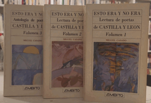 ESTO ERA Y NO ERA. LECTURA DE POETAS DE CASTILLA Y LEÓN (CON SEÑALES DE USO)