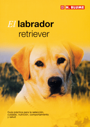 EL LABRADOR RETRIEVER