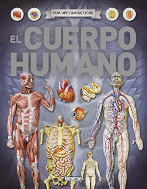 EL CUERPO HUMANO (TAPA DURA) (POP UP) (ESQUINA ROZADA)