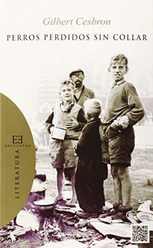 PERROS PERDIDOS SIN COLLAR