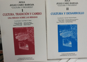 CULTURA, TRADICIÓN Y CAMBIO + CULTURA Y DESARROLLO
