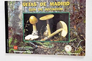 SETAS DE MADRID