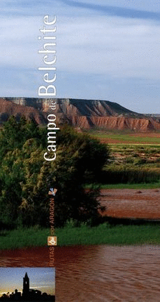 CAMPO DE BELCHITE