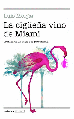 LA CIGÜEÑA VINO DE MIAMI: CRÓNICA DE UN VIAJE A LA PATERNIDAD