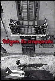 VIAGEM AO CREPUSCULO (TEXTO EN PORTUGUÉS)