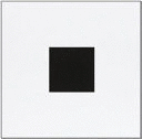 THE SQUARE (TEXTO EN INGLÉS)