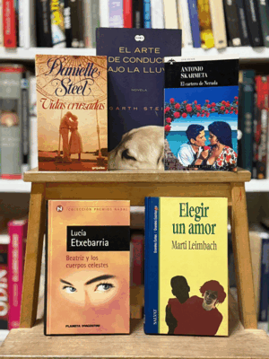 LOTE- LECTURAS CON CORAZÓN