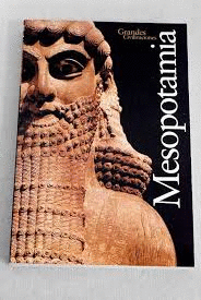 MESOPOTAMIA (MANCHA EN PICO INFERIOR TRASERO DE LAS HOJAS)