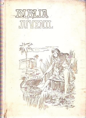 BIBLIA JUVENIL (TAPA DURA CORTE DE LAS HOJAS DORADO))
