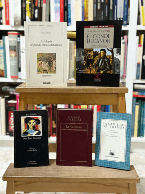 LOTE - CUMBRES DE ORO