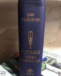 VIDAS PARALELAS (TAPA FLEXIBLE)