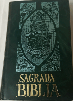 SAGRADA BIBLIA. VERSION DIRECTA DE LAS LENGUAS ORIGINALES HEBREA Y GRIEGA AL CASTELLANO (TAPA DURA, CORTE DE LAS HOJAS EN DORADO)